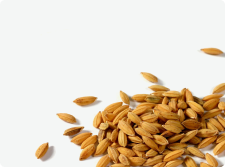 Весовые семена